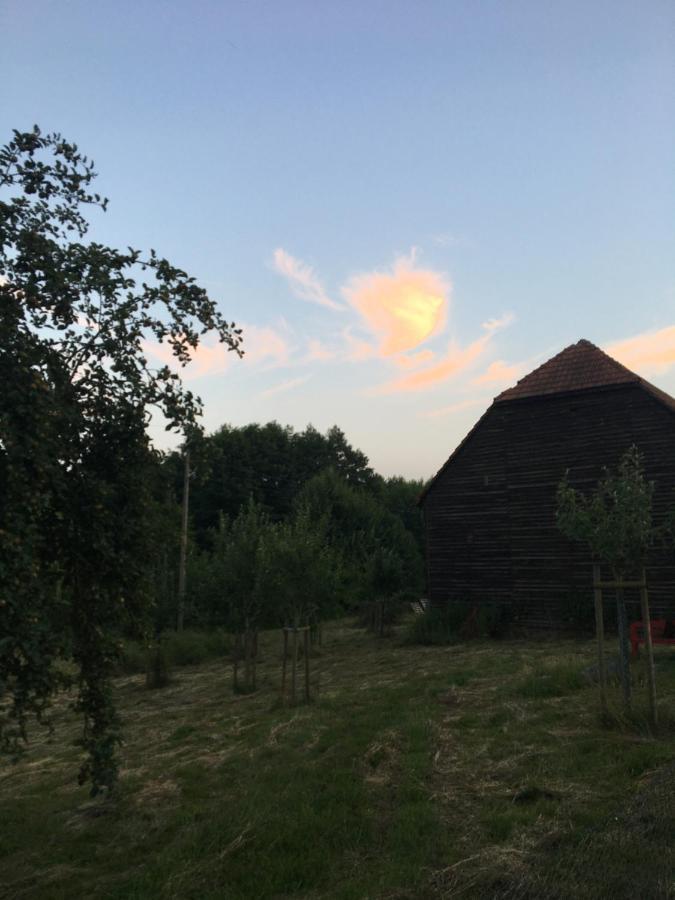 Broockhof Ferienwohnung Unterm Sternenhimmel In Mecklenburg Reimershagen Exterior foto
