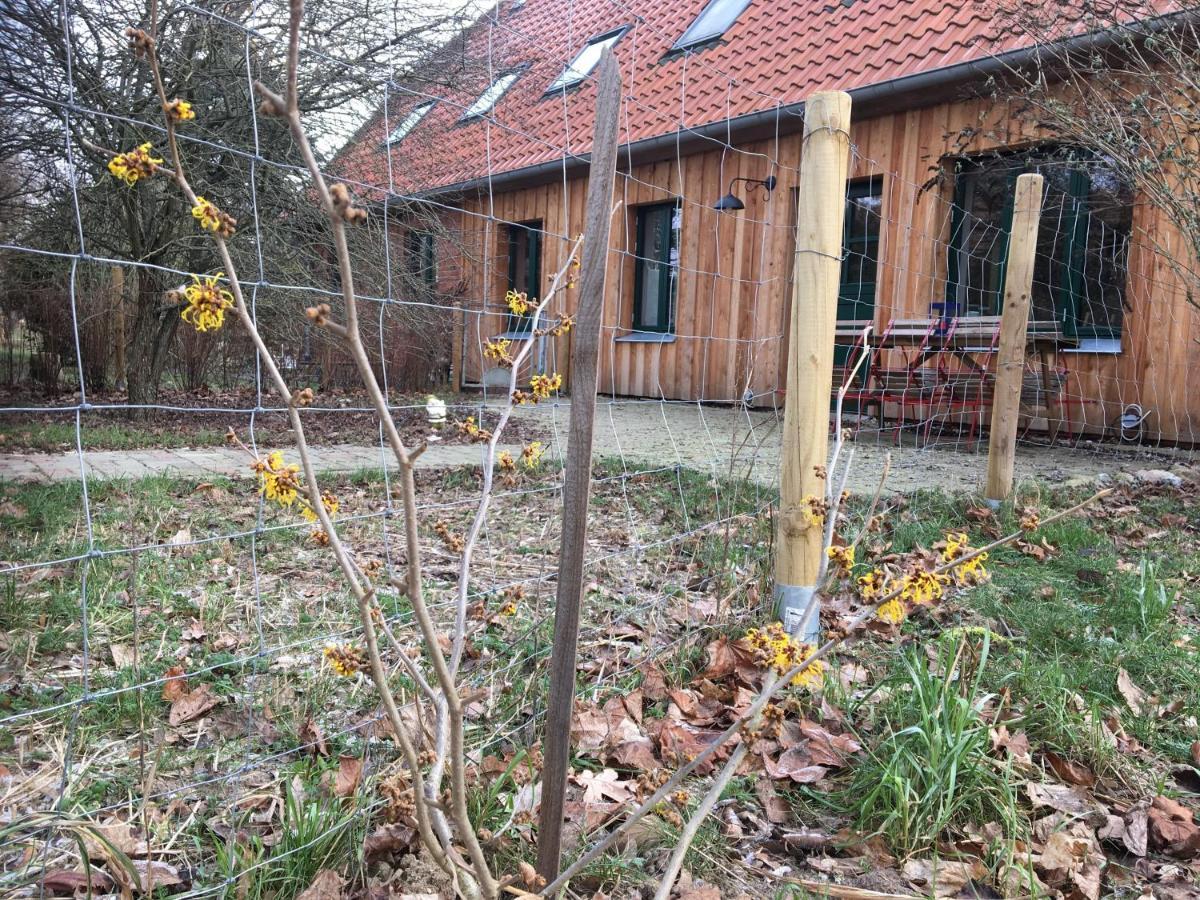 Broockhof Ferienwohnung Unterm Sternenhimmel In Mecklenburg Reimershagen Exterior foto